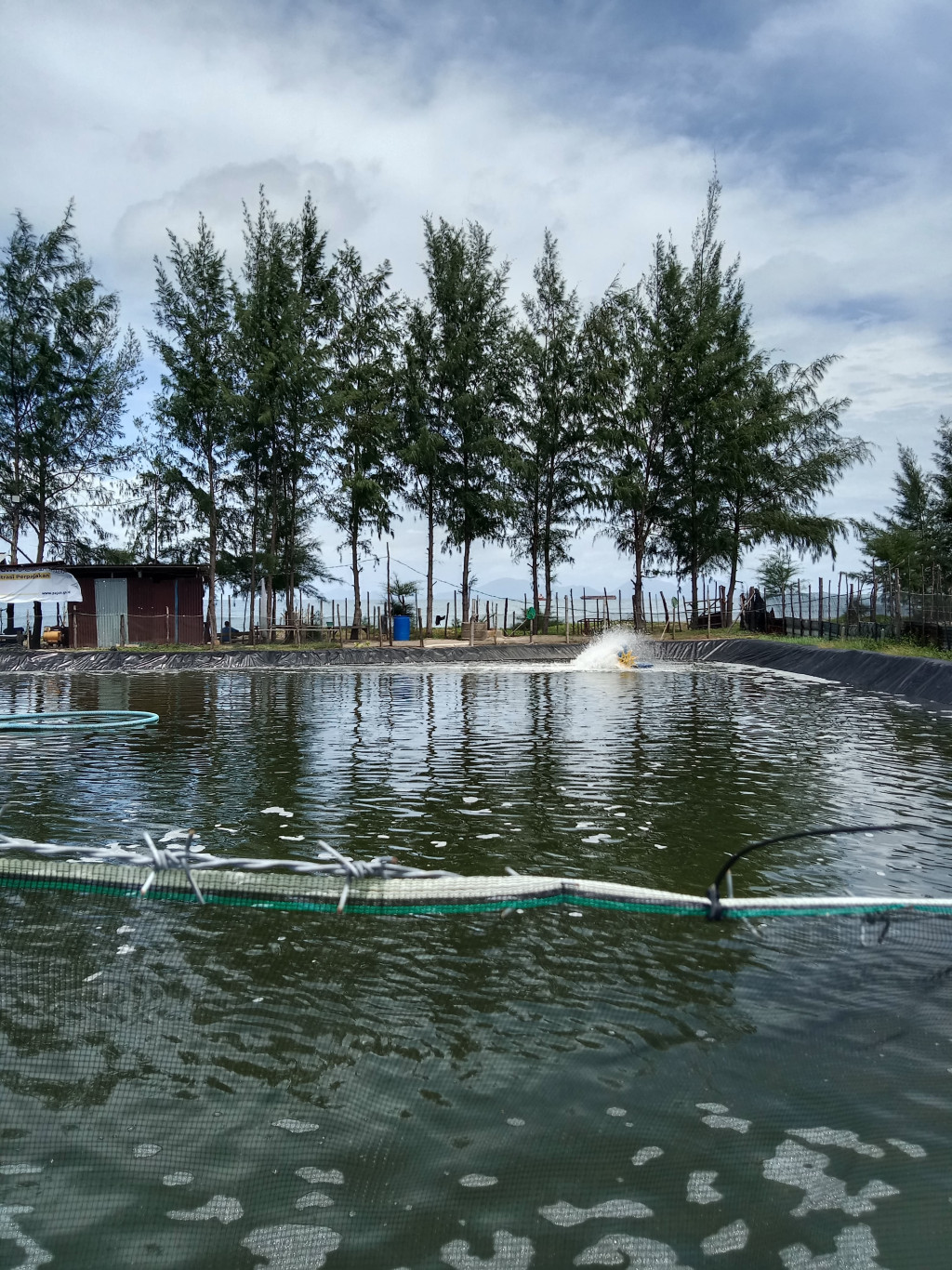 Tambak Ikan/Udang di Gampong Baro 